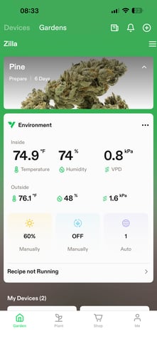 Pine (Auto) 2025 - 0 — seedling_rooting, day 6