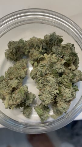 Comet Candy (Auto) 2026- 02