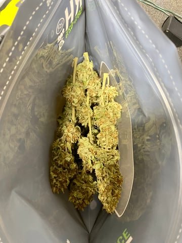 queen of soul X cap junky  — done, day 201