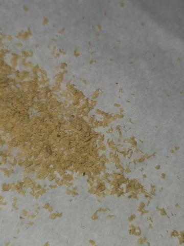 Fastbuds Autoflower Run — harvest, day 91