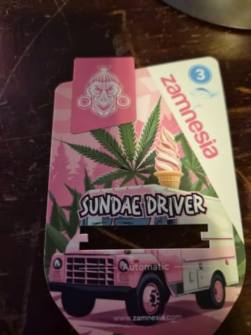 Sundae Driver — grow_setup, day 2