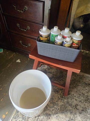 Looking for advice! — vegetative, day 35