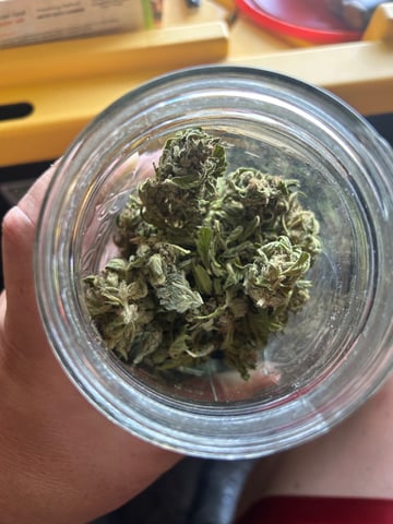 First ever grow — harvest, day 102