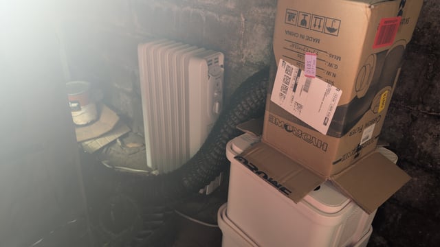 Grow 1 — flower, day 45