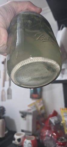 strawberry guava bx — flower, day 25