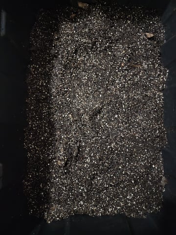 HE1E we GROW  — grow_setup, day 1