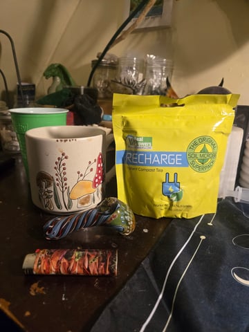 Looking for advice! — flower, day 52