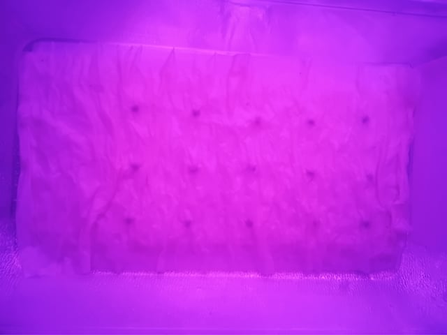 1st Indoor Grow — grow_setup, day 1