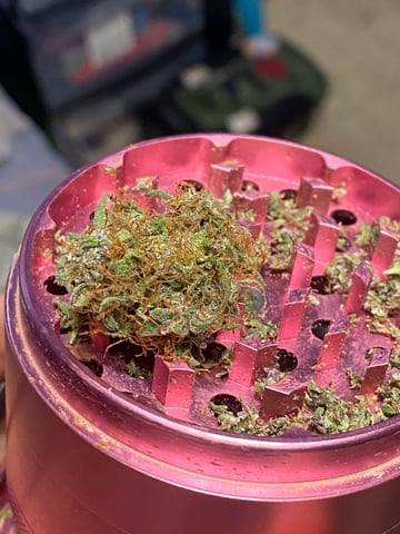 Auto Run #1 2025-2026 — done, day 118