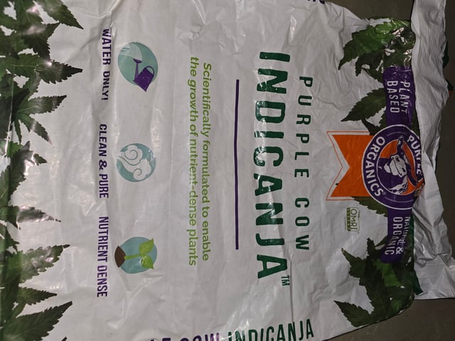 Homegrown - 🍒 🥧 & GSC Auto, 🚀 Seeds 🍌 Buttercups  — grow_setup, day 1