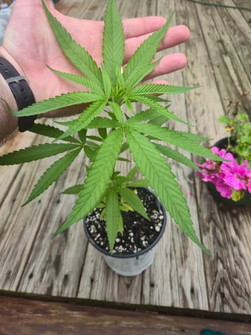 Late Outdoor Photo's