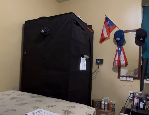 Am inside — grow_setup, day 1