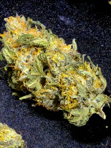 Homegrown - 🍒 🥧 & GSC Auto, 🚀 Seeds 🍌 Buttercups  — done, day 87