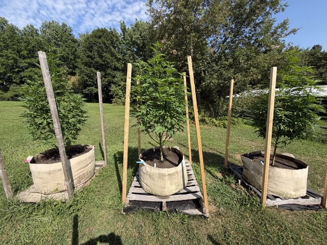 2026 Grow