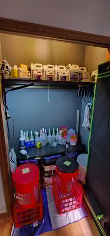 WHAT THE HELL JUST HAPPENED!!! — grow_setup, day 9