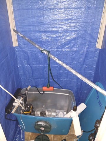 1st Grow — grow_setup, day 5