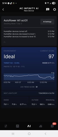 3 strains afa genetics grape sour monkey and frosty king 
