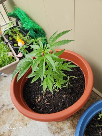 New To This  — grow_setup, day 2