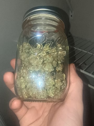 lil Slurry, first grow