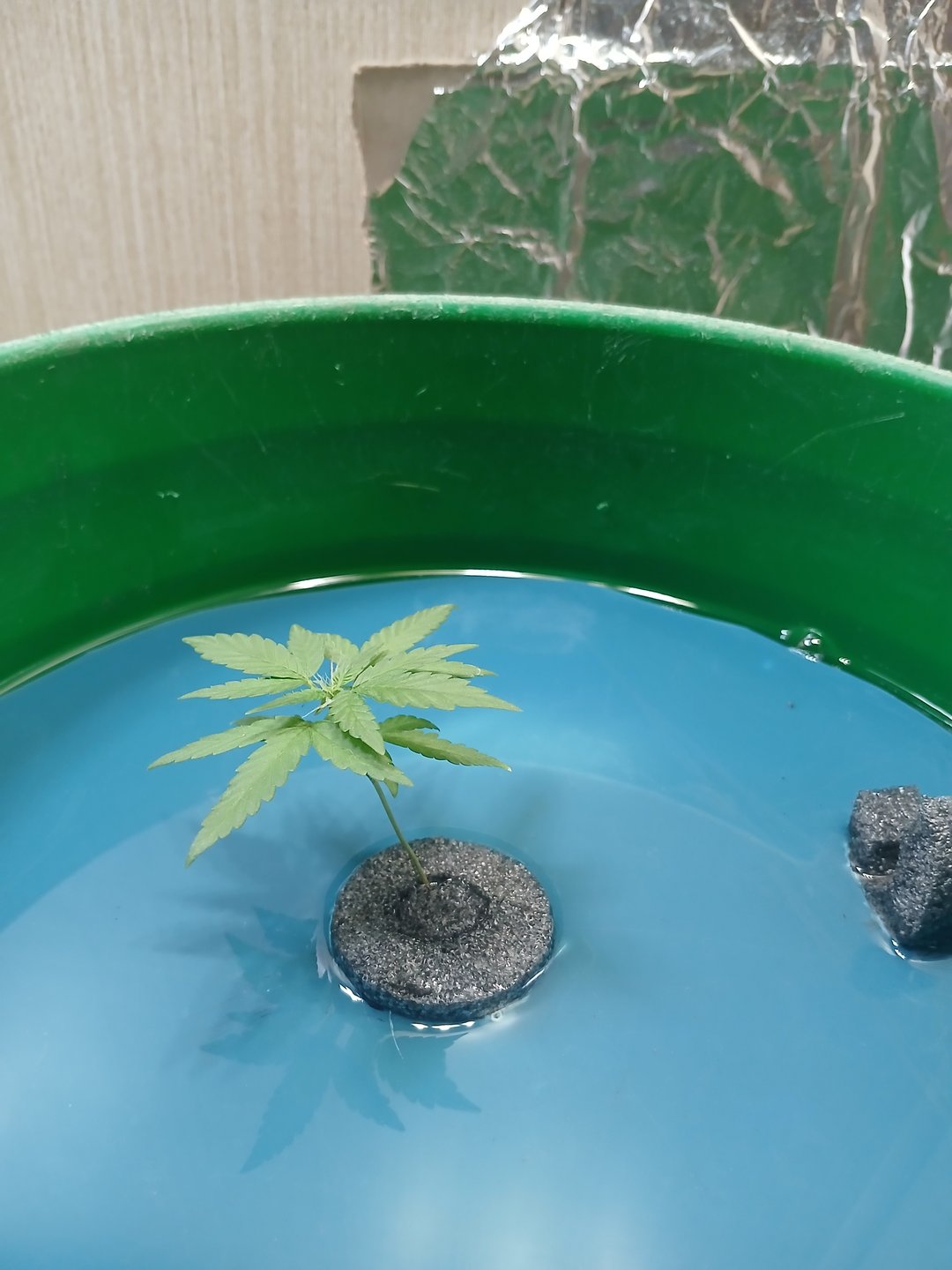 Hydro
