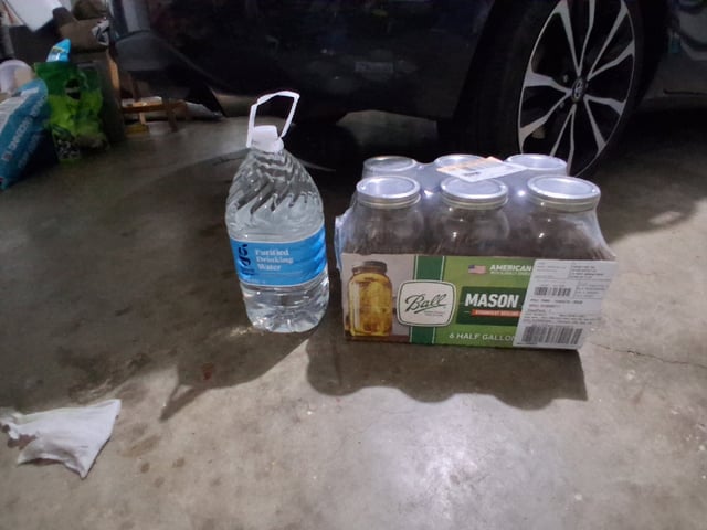 Seedman mix auto & seedman mix auto & GodFather OG — flower, day 88