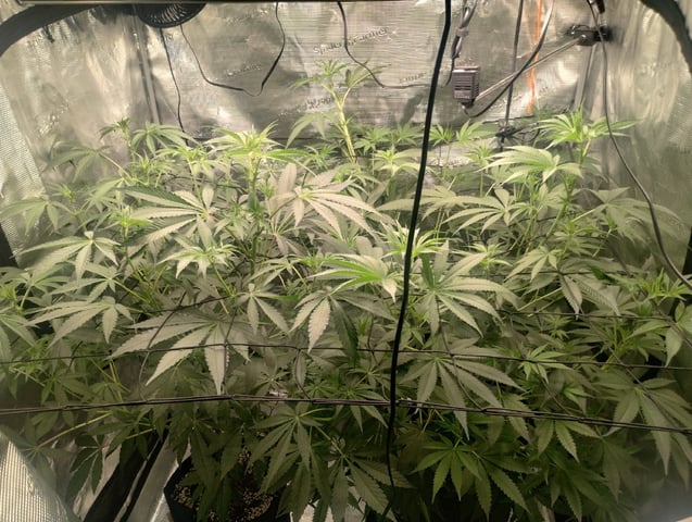 Photo Time📸🕞 — flower, day 69