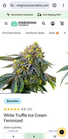 Master Kush — vegetative, day 29