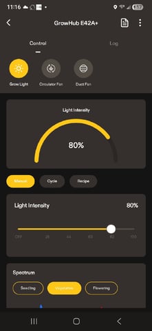 Laundry Shaman — vegetative, day 36