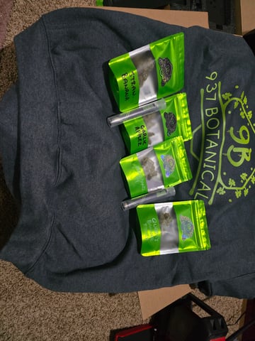 Fast Buds - Purp Lemonade — vegetative, day 15