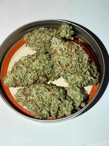 Indoor Grow  — harvest, day 128