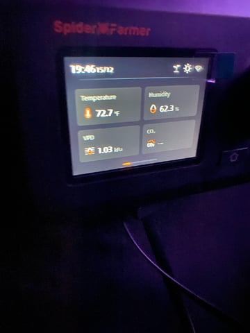 Auto Run #1 2025-2026 — vegetative, day 46