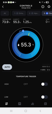 BLACKCHERRY SHERB — flower, day 60