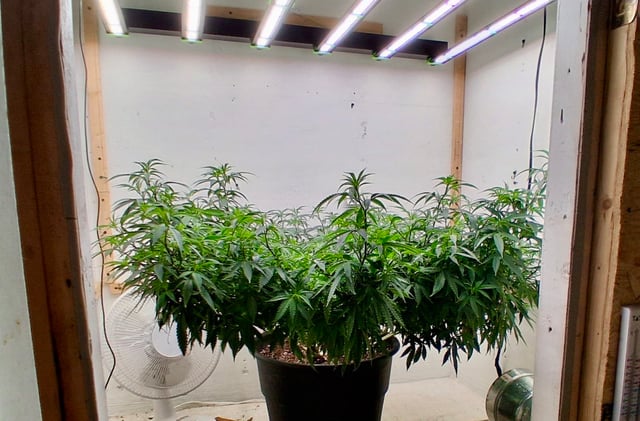 Here We Go Again 😎, This Should Be Good. 🤞👁️👁🤞