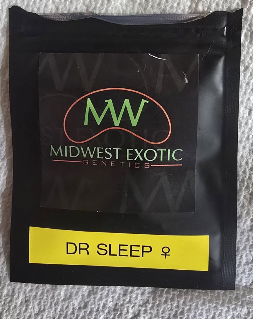 Dr. Sleep
