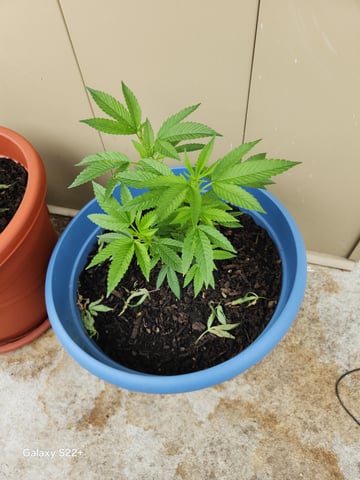 New To This  — grow_setup, day 2