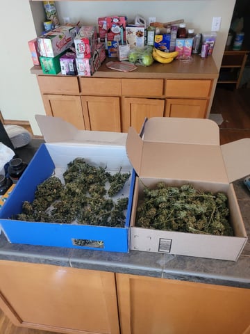 4th Grow