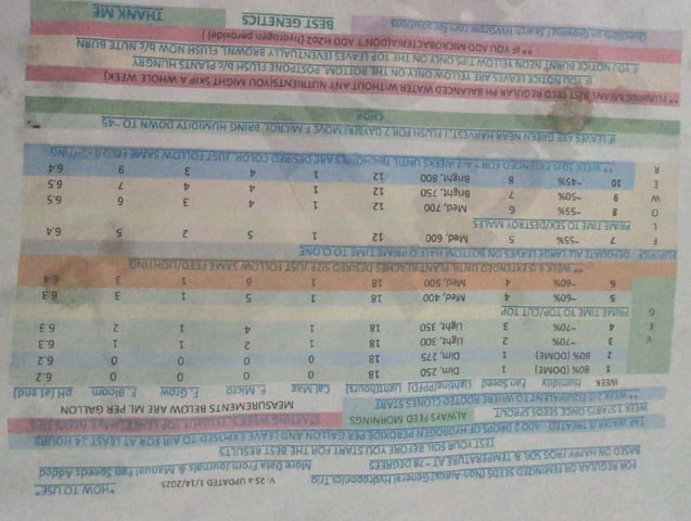 Girl Scout Cookies — seedling_rooting, day 9