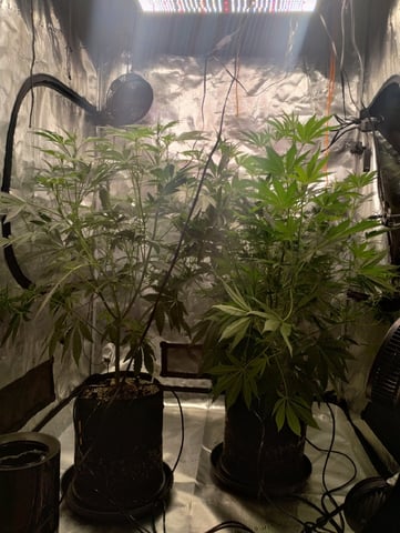 Photo Time📸🕞 — flower, day 66
