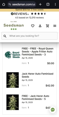 First Autoflower Indoor — grow_setup, day 35