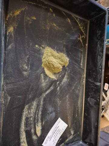 new strain — done, day 99