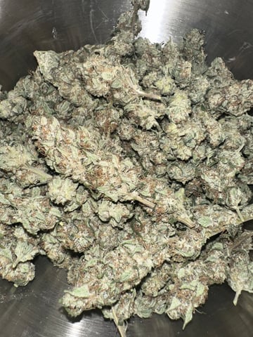 GrowRoom — done, day 38