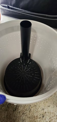 1st grow Dr. Nefario — vegetative, day 19