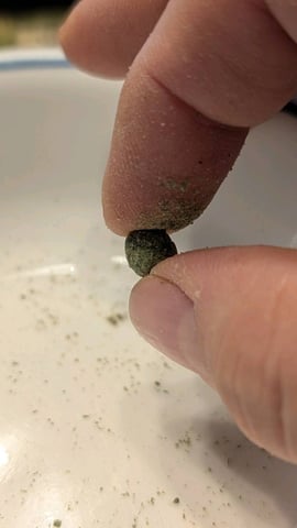 Grow 1 — harvest, day 108