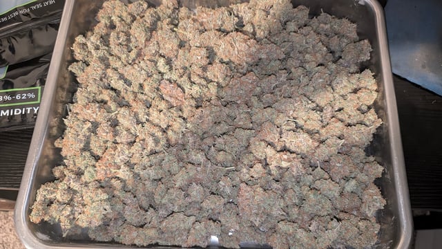 Strawberry Cheesecake Seedsman Seeds Autoflowers x2