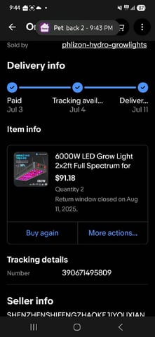 B2 — flower, day 62