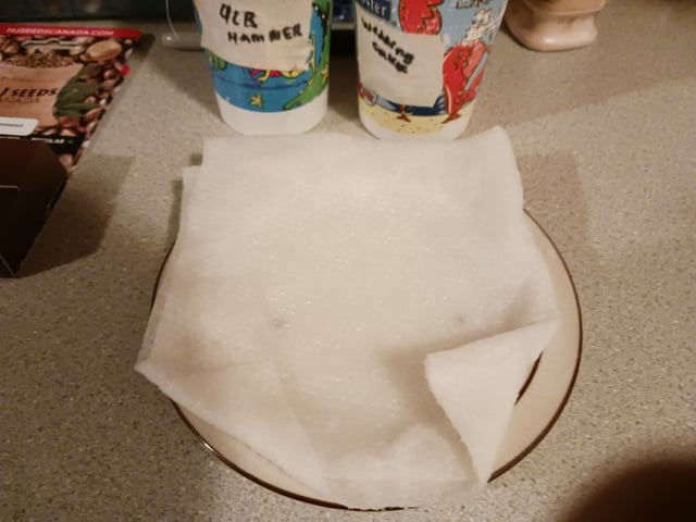 4th grow  — germination, day 59