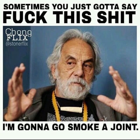 4 strains in 1 tent — vegetative, day 31