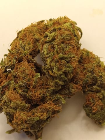   and one L.a kush cake . — flower, day 142