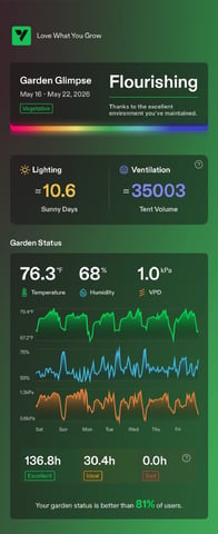 Indoor & Outdoor Grow 6 — vegetative, day 27