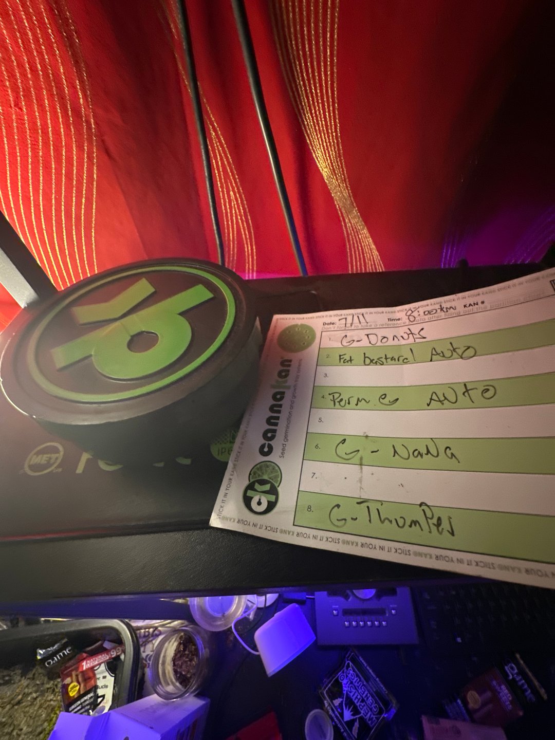 Good Genetix G-Line + Fat Bastard auto